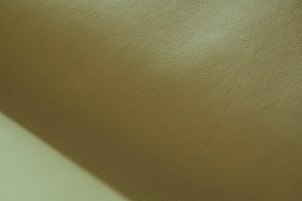 ڥ쥶Ƥäꡢ괶ΤϹ顡̵ϡ١塡[CAP2-3 C10] 02P12oct10