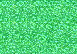 ڥ쥶ۥ饭鵱䤫ʹϹ顡̵ϡ᥿åɡ[HQ-524M] 02P12oct10