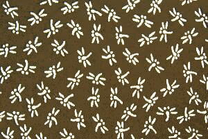 Ϥ۽餫ϰɡȥܾ㡡[GM-90-3B] 02P12oct10