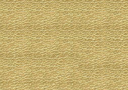 ڥ쥶ۥ饭鵱䤫ʹϹ顡̵ϡ᥿å饤ȥɡ[HQ-542M] 02P12oct10