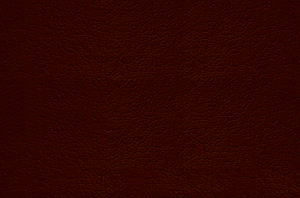 ڥ쥶۰Ѥ˺ŬƤʤ䤫ʹϹ顡̵ϡ磻[NK-15-7] 02P12oct10