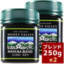 【 マヌカハニー *ブレンド250g】 ★2個セット ニュージーランド生蜂蜜 ハチミツ はちみつハニーバレー(100% Pure New Zealand Honey)社 マヌカ【HLS_DU】【RCP】