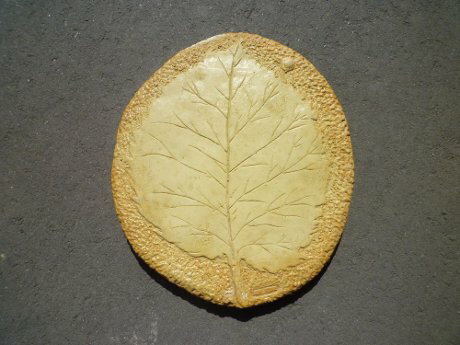 Erumua