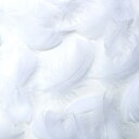 コキール（ホワイト） この羽根はディスプレイ、アクセサリー、ヘットドレス等に使用されてます。