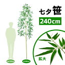 〈七夕>笹240cm【七夕飾り 装飾 7月イベント 願い事 ...