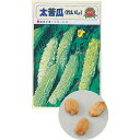 アーテック/野菜の種 ツルレイシ(苦瓜) 苗床付[artec...