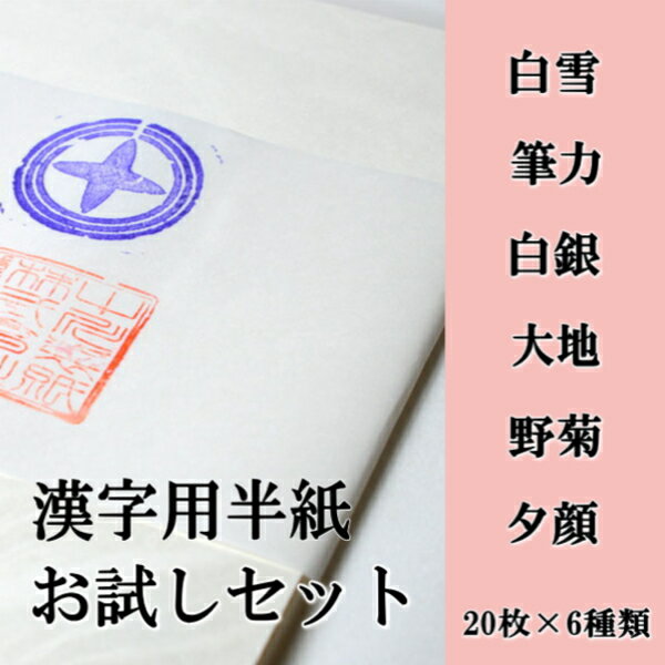 書道【書道用品】【書道半紙】 漢字用【半紙】【書道用紙】6種120枚お試しセットメール便の場合送料無...:hanshiya:10000262