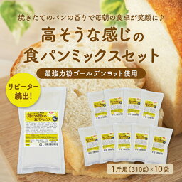 送料無料 高そうな感じの食パンミックスセット【10個】（半鐘屋オリジナル・HB用・<strong>ホームベーカリー</strong>）