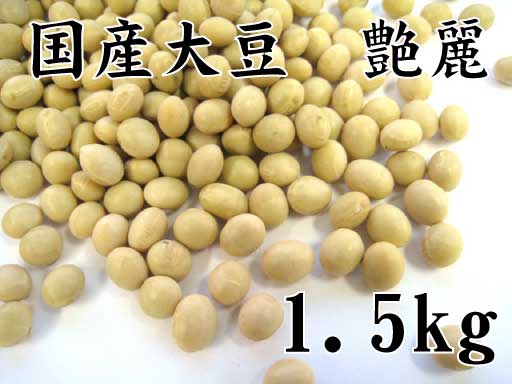 ★23年産★国産大豆　艶麗（えんれい）　1.5kg