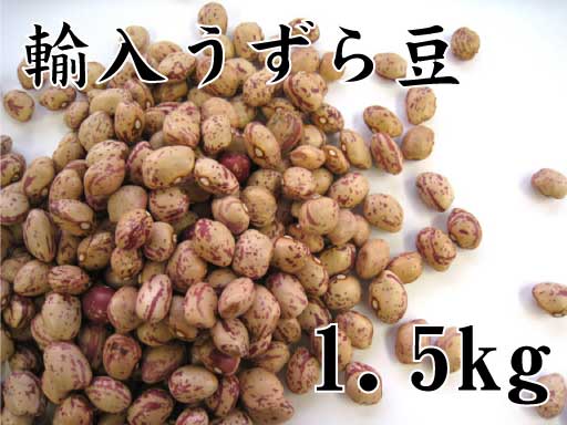 うずら豆（輸入）　1.5kg