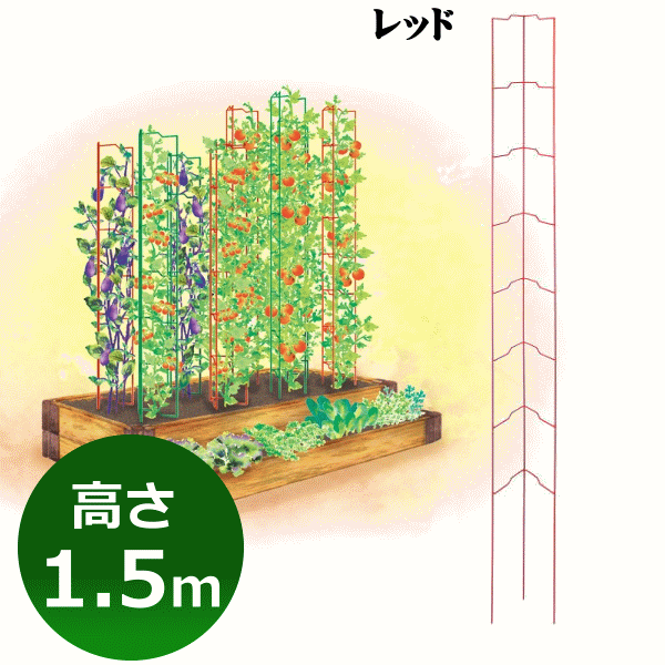 G-story トマトオベリスク S 1．5m【家庭菜園】【ベランダ菜園】【ベジタブルガーデン】【支柱】ミニトマトの栽培をサポートします。