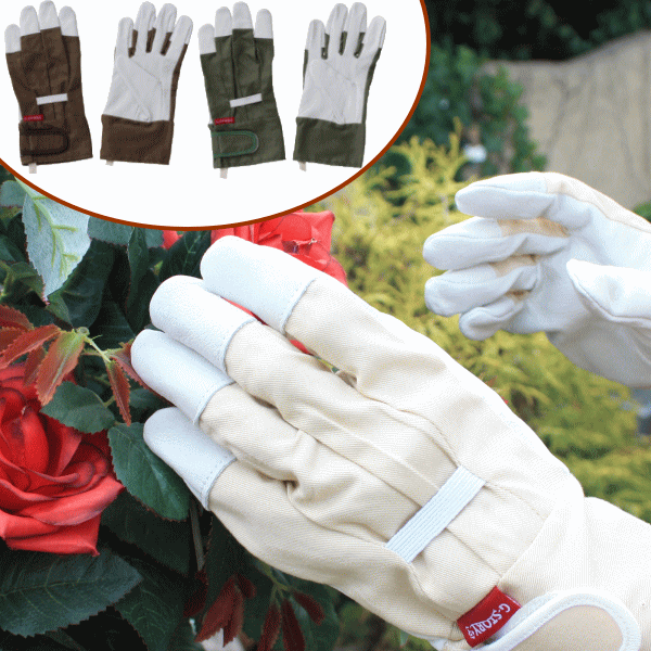 【豚革補強園芸手袋・ガーデニングローブ】G-Story　ガーデンプロテクトグローブ【メール便￥80対応】バラをなどの植物を扱うのに最適な革仕様。