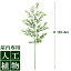 /人工植物/グリーンデコ　庭竹（ていちく）　1.6m/RCP/05P03Sep16/【HLS_DU】
ITEMPRICE