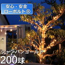 ストレート シャンパンゴールド200球 2in1イルミネーション/ローボルトLEDイルミネーション/コントローラー付き/クリスマス/イルミネーション/ストレートライト/LEDイルミネーション/タカショー/日亜化学工業製LED/RCP/05P03Sep16/【HLS_DU】