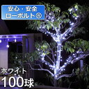 2in1イルミネーション/ローボルトLEDイルミネ