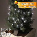 ソーラーイルミネーションライト/ストレートライト ホワイト50球/コントローラー付き/クリスマス/イルミネーション/LEDイルミネーションライト/ソーラーライト/タカショー/RCP/02P12Oct14/【HLS_DU】