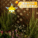 ソーラーイルミネーションライト/ソーラー スティックライト スター/モチーフライト/クリスマスイルミネーション/タカショー/RCP/05P03Dec16/【HLS_DU】