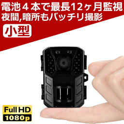 【いまだけ豪華特典付き】 防犯カメラ <strong>トレイルカメラ</strong> 屋外 小型 家庭用 電源不要 工事不要 電池式 単三電池4本で最長12ヶ月駆動 監視 野外 ソーラー充電 防水防塵 赤外線 動体検知 人感センサー 暗視 自動録画 自宅 庭 ベランダ 駐車場 ゴミ置き場 農場 畑 倉庫 送料無料