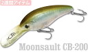 LUCKY CRAFT USA【ラッキークラフト】ムーンサル...