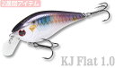 LUCKY CRAFT USA【ラッキークラフト】KJフラッ...