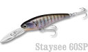 LUCKY CRAFT USA【ラッキークラフト】ステイシー60SP - US定番カラー