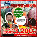野菜セット 送料無料 気まぐれ野菜増量中! イケメン野菜セット 野菜12種+熊本県産 名物!ミニパプリカおまけ付!