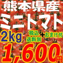 ミニトマト【ピュアチェリー/チカ2品種混合 2kg+おまけ付♪】九州/野菜/熊本/新鮮/安