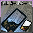【カノー】【六瓢箪】LEDカードルーペ【ライト付き】【六瓢箪】【3倍鏡】【5倍鏡】拡大鏡 手元眼鏡 インテリア 和風 日本土産 贈り物 贈答品 お祝い【RCP】