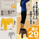 【在庫限り】【SMART STEP】スマートステップ【29c...