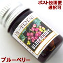 アロマオイル5ml-ブルーベリーBLUEBERRY/アジアン雑貨(ポスト投函配送選択可能です)