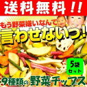 【送料無料】野菜のまんま 110g×5袋セット!! 10種類...