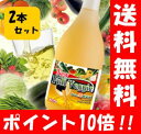 【送料無料】 ニューフルベジデト酵素液2本セット!(送料無料+878円おトク!) 送料無料/酵素/酵素液/酵素ドリンク/酵素飲料/酵素 ジュース/酵素 ダイエット/酵素液 ダイエット/酵素ダイエット ドリンク/ダイエット/スリム/ファスティープラセンタ