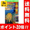 【送料無料】電磁波ブロッカー MAX mini V×2枚セット!【ポイント20倍】 電子レンジや冷蔵
