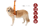 ■【Petio】 ペティオ 老犬介護用 歩行補助ハーネスK/前足用 Mサイズ○
