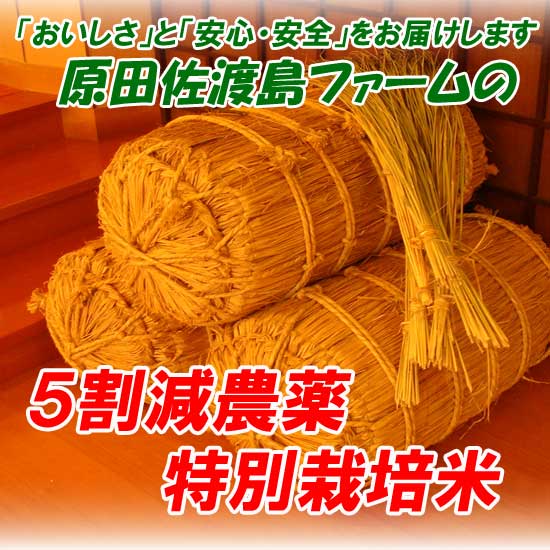 化学農薬、化学肥料5割減の特別栽培米27年産特別栽培佐渡産コシヒカリ精米20kg栽培管理履…...:haratafarm:10000049