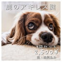 ペットフード 信州産 鹿 アキレス腱 ジャーキー 40g 3...