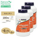 [3Zbg] L-Jj` 500mg 180 NOW Foods(iEt[Y)  