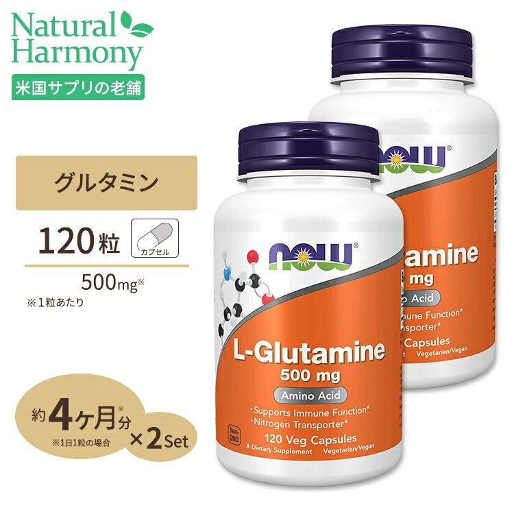 [2Zbg]L-O^~ 500mg 120 NOW Foods(iEt[Y) |CgUPΏہ2019N122617:00-2020N179:59 