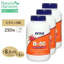 ビタミンB-50 250粒 [3個セット] 約8ヶ月分 NOW Foods(ナウフーズ)B群11種 葉酸 ナイアシン ビオチン パントテン酸 PABA コリン イノシトール ベジカプセル 送料無料