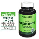 Nature's Plus, ナチュラル クロロフィル 600mg 60粒