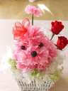 プリザーブドフラワーのカーネーションで出来た犬くん「プリもこちゃん」 バスケット入り クリアケース入り 母の日のプレゼント【楽ギフ_メッセ入力】