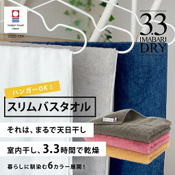 【40%％OFF！マラソン期間限定】<strong>今治タオル</strong> ミニバスタオル 速乾 今治ドライ バスタオル タオル 小さめ 日本製 スリムバスタオル 吸水 やわらかい ふわふわ <strong>まとめ買い</strong> 新生活 ギフト プレゼント <strong>ハートウエル</strong>