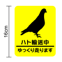 【セーフティマグネットステッカー】ハト輸送中 安全