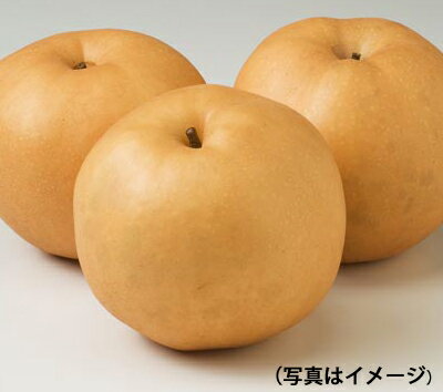 ̵̳ƻˡڤΡ١ϥ8̡ڥ塼ʤߤߤۤ渵£ʪˡȢ