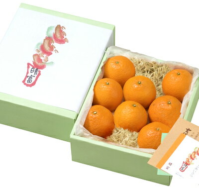 ̵ܽ١ΡۤȤ8̡ڵʡ£ʪեȤˡ