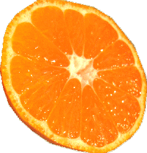 ̵ۥǰ縩ߤ10kg1215ʹȯ