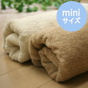【訳あり】 【ミニサイズ】 タオルケット オーガニックコットン 日本製 約63×85cm