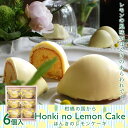 ほんきのレモンケーキ-6個入