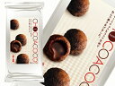 楽天市場限定新商品! とろ〜りチョコをココア生地で包んで焼きあげました。『冷凍焼き菓子 チョコアココ 15個入』【1117PUP10】