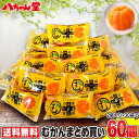 送料無料 むかん 2個入り×30袋 外皮をむいた冷凍みかん ...